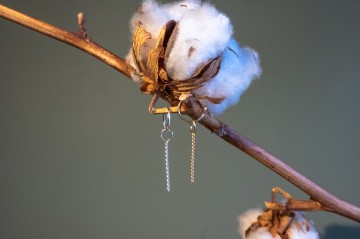 Bingin gold twisted earring