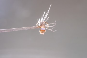 Cestudio  stick to the brand  119