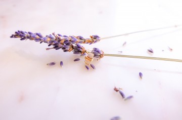 Cestudio  stick to the brand  121