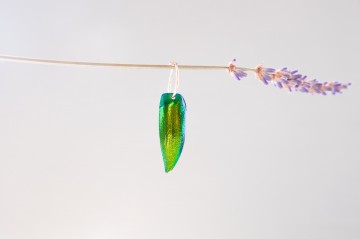 Cestudio  stick to the brand  131