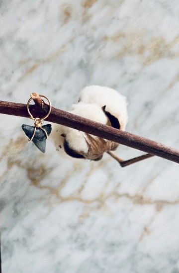 Devils crown gold earring shark tooth