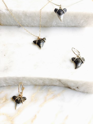 Devils Crown Earring Gold Silver SharkTooth